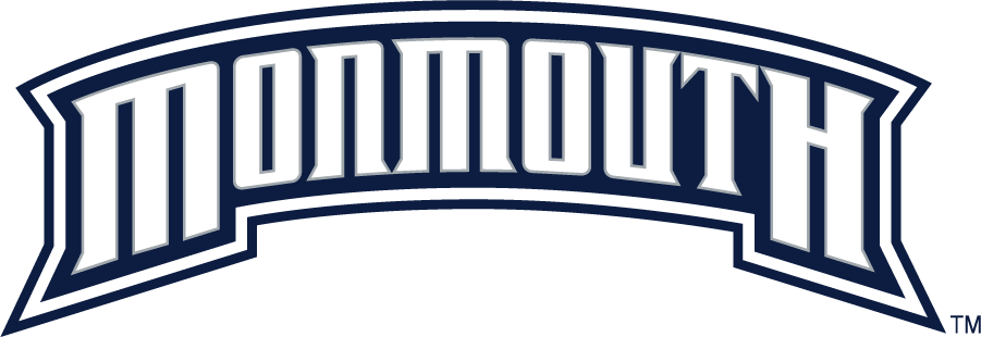 Monmouth Hawks 2003-2014 Wordmark Logo DIY iron on transfer (heat transfer)